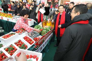 2019大連草莓文化旅游節(jié)暨農(nóng)業(yè)產(chǎn)品博覽會(huì)開(kāi)幕